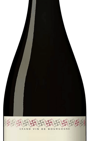 Domaine Tawse Gevrey-Chambertin 1er Cru Champeaux  2018